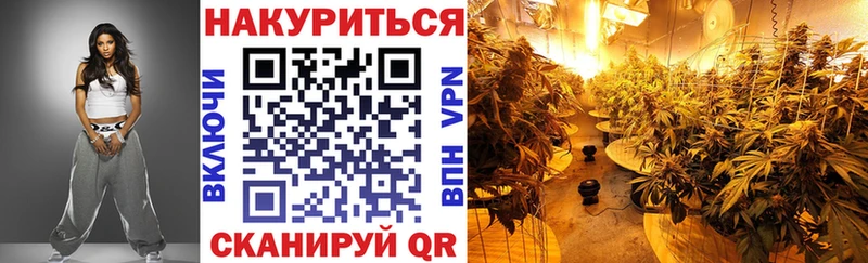 купить наркотик  Пучеж  Каннабис White Widow 
